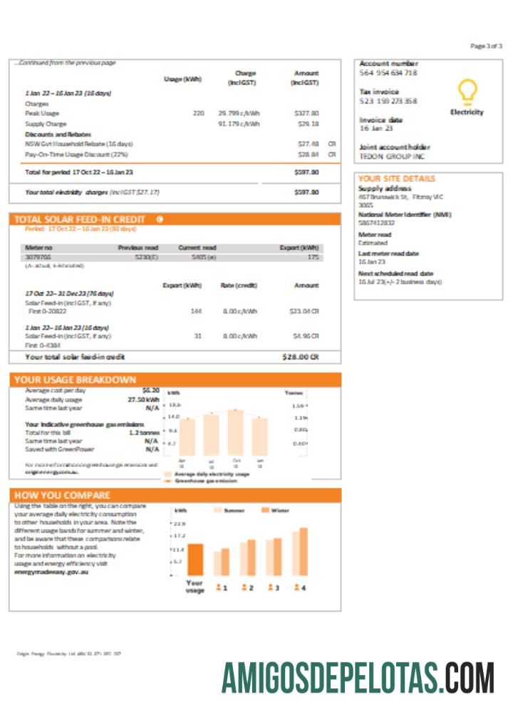 Projeto de lei de serviços públicos de eletricidade de origem de Nova Gales do Sul (NSW), SCR, página 3 exemplo real
